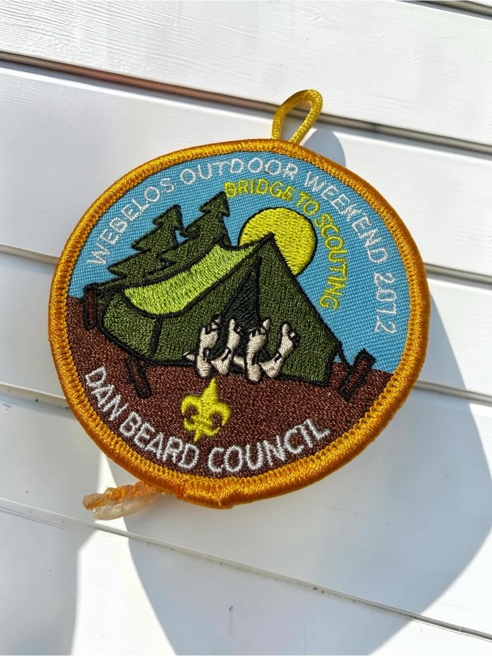 BSA Boy Scout Patch Lot 15+ pc Dan Beard Council Cub Scout Camping Patches